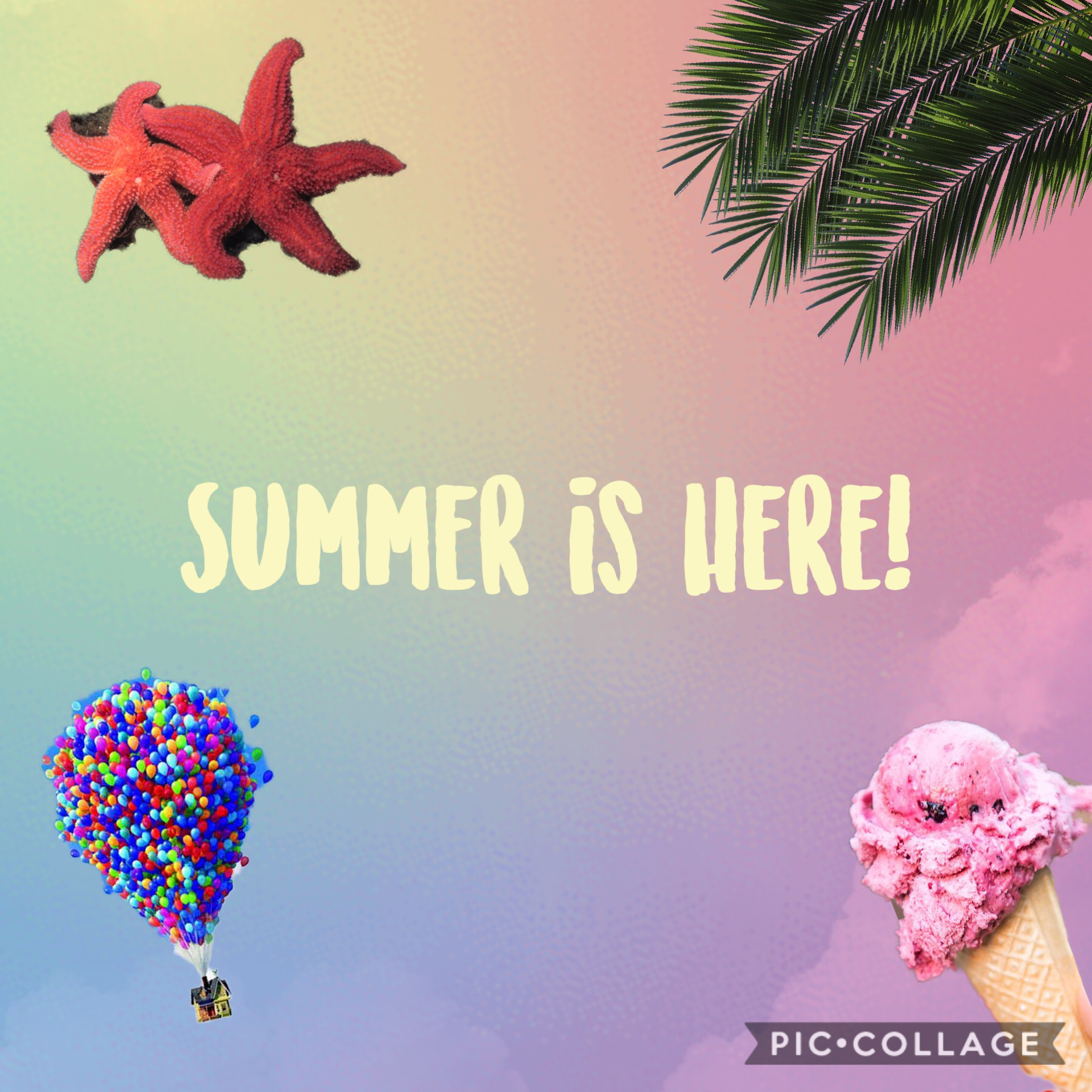 It is officially summertime!🌸💖🌵🤩👙🐳☀️