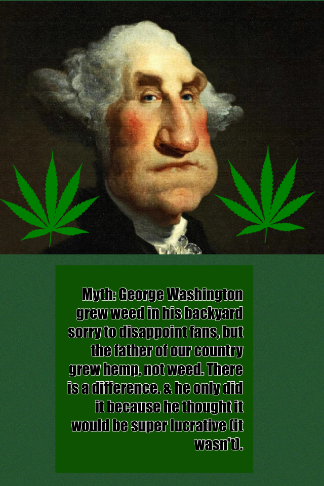 Myth: George Washington grew weed in his backyard sorry to disappoint fans, but the father of our country grew hemp, not weed. There is a difference. & he only did it because he thought it would be super lucrative (it wasn't).