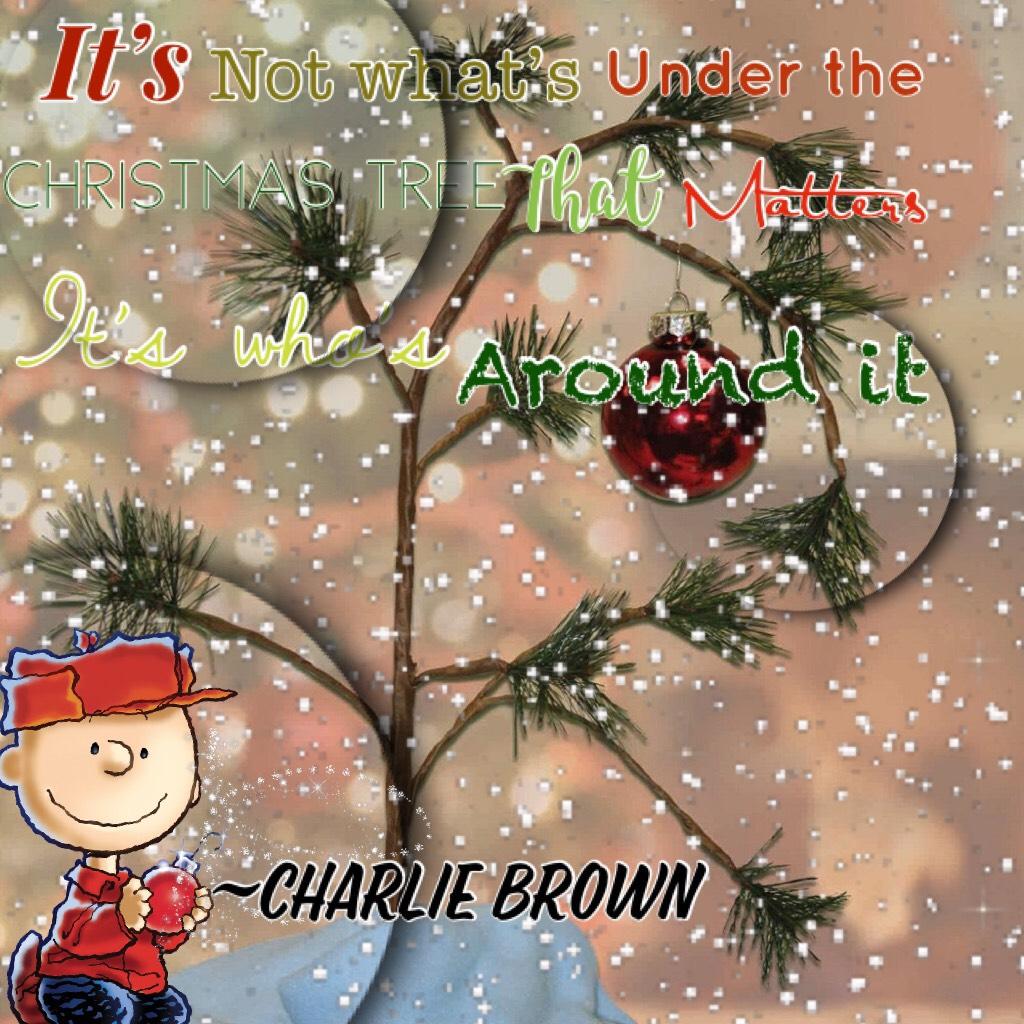 “It’s not What’s under the Christmas tree that matters It’s who’s around it”~Charlie Brown 

Merry Christmas🎄❤️