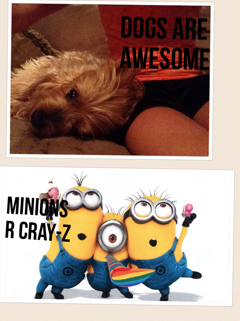 Minions and dogs work well together