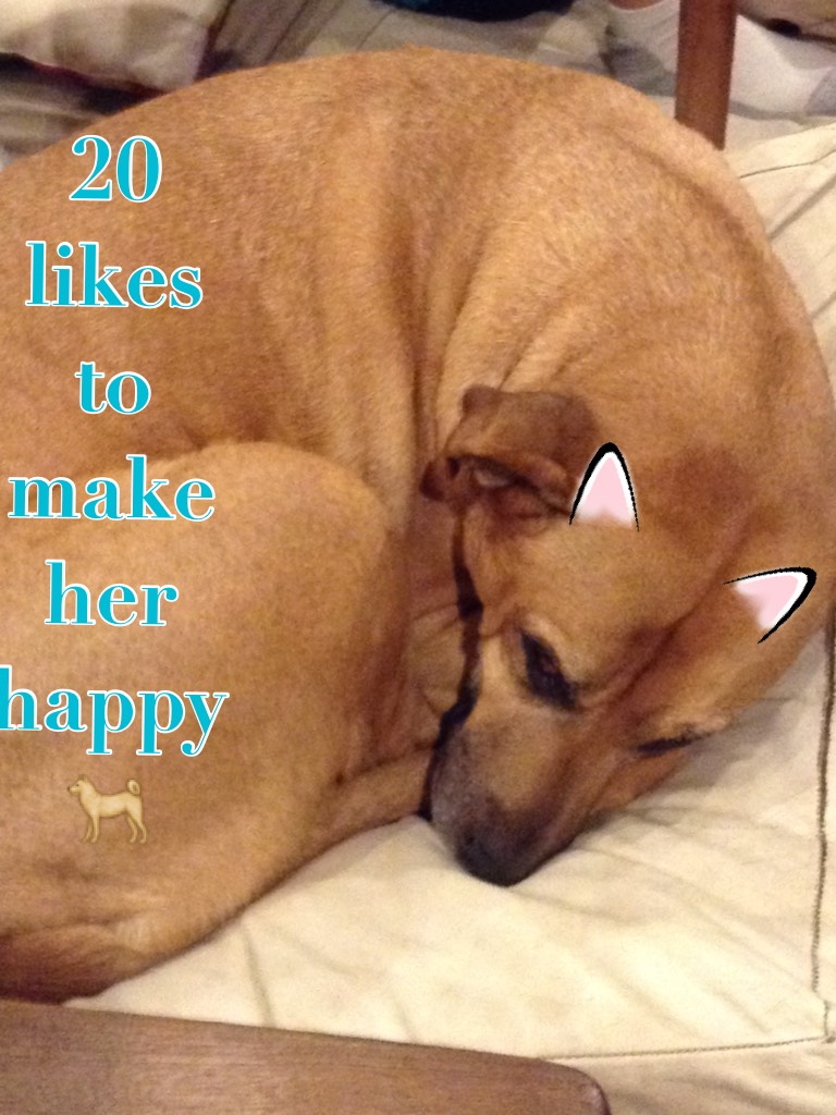 20 likes to make her happy🐕