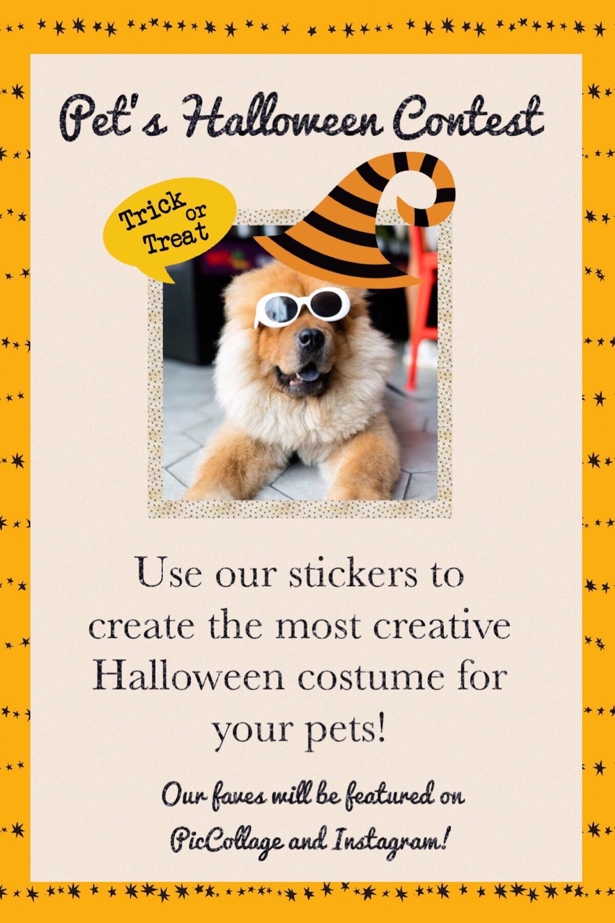 Check out our Pet’s Halloween Contest! Deadline is November 1, 2018! 🎃