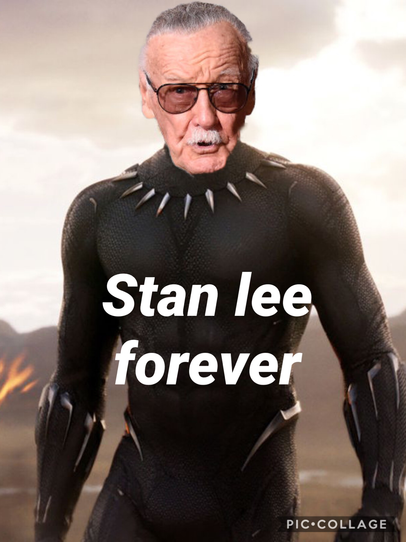 Stan Lee forever