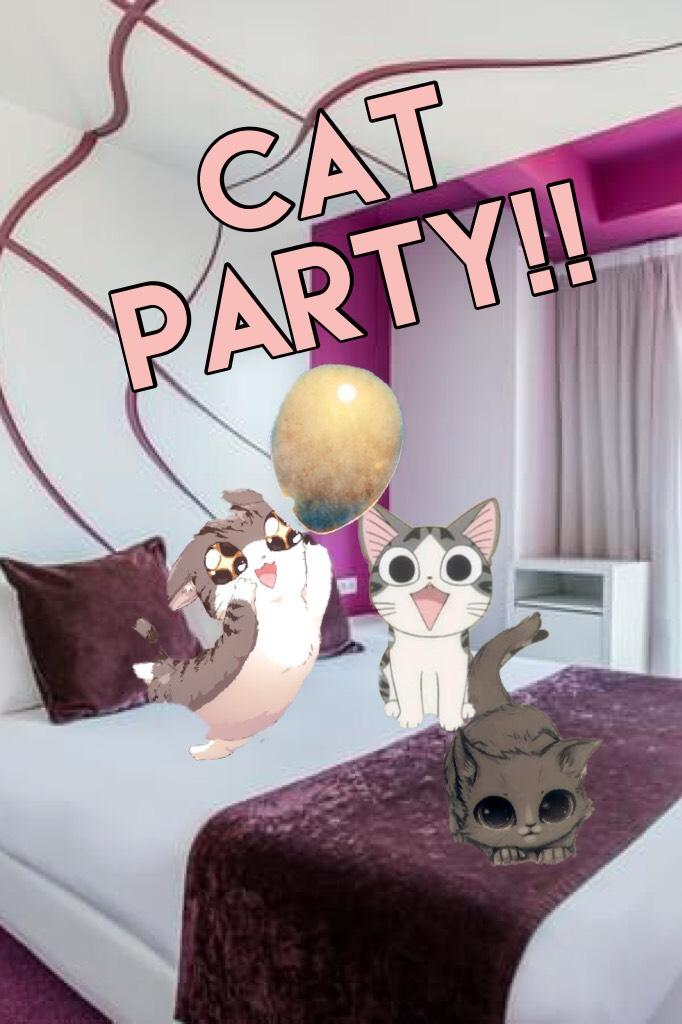 Cat party!!