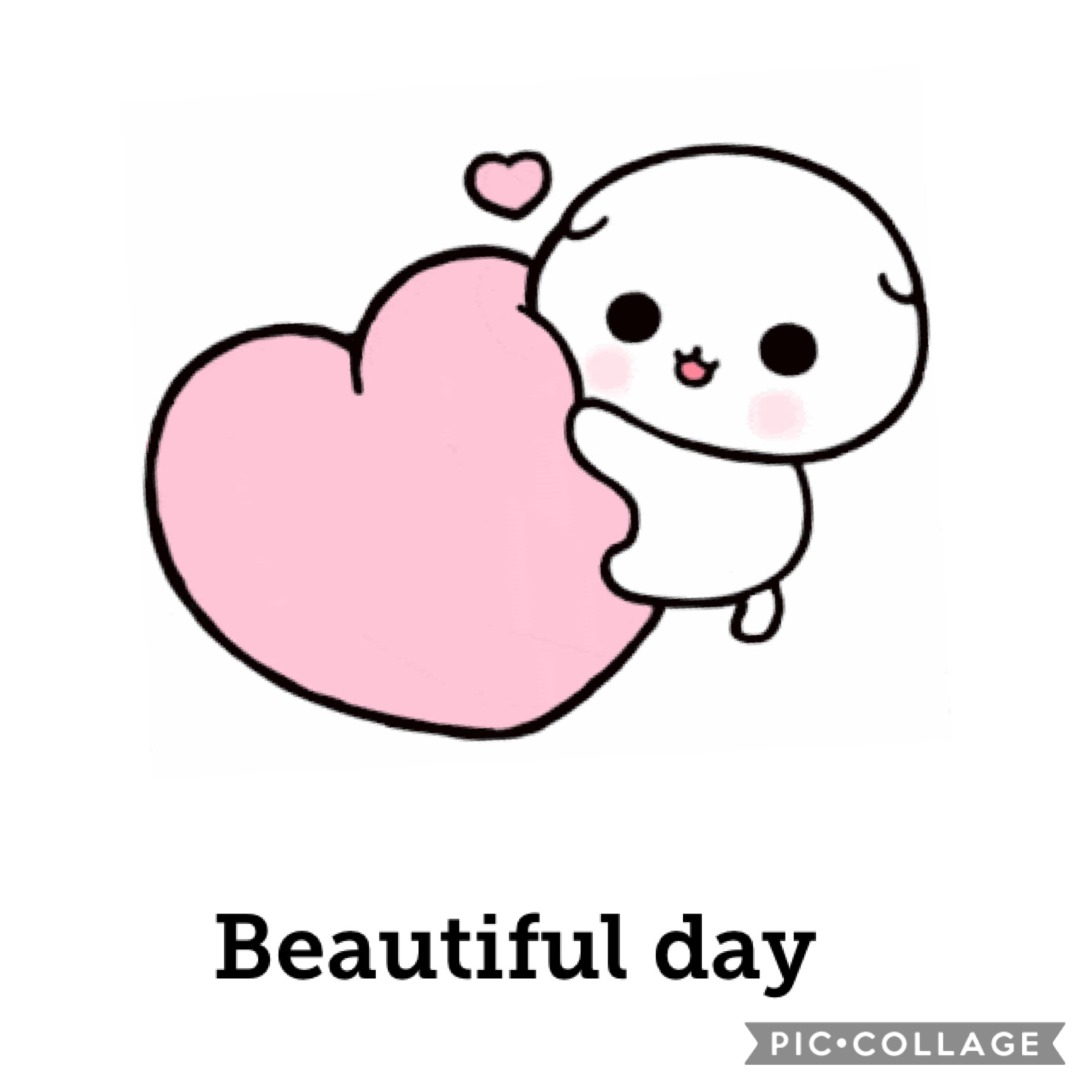 #love #cute #whitecat #beautifulday 