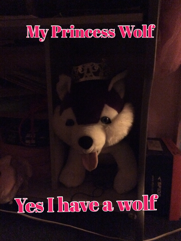 Yes I have a wolf