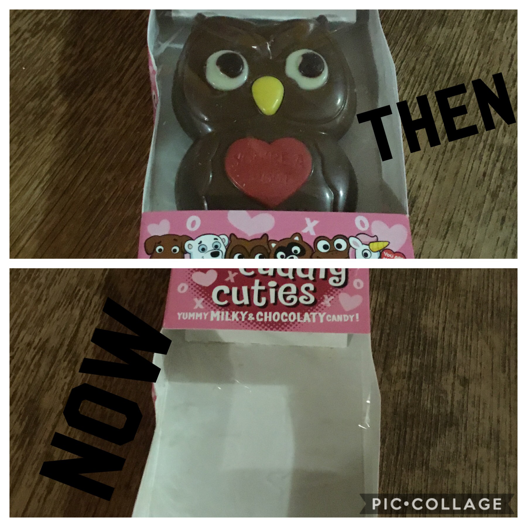 Rip chocolate owl