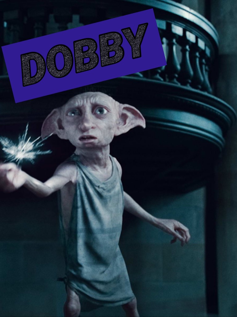 DOBBY