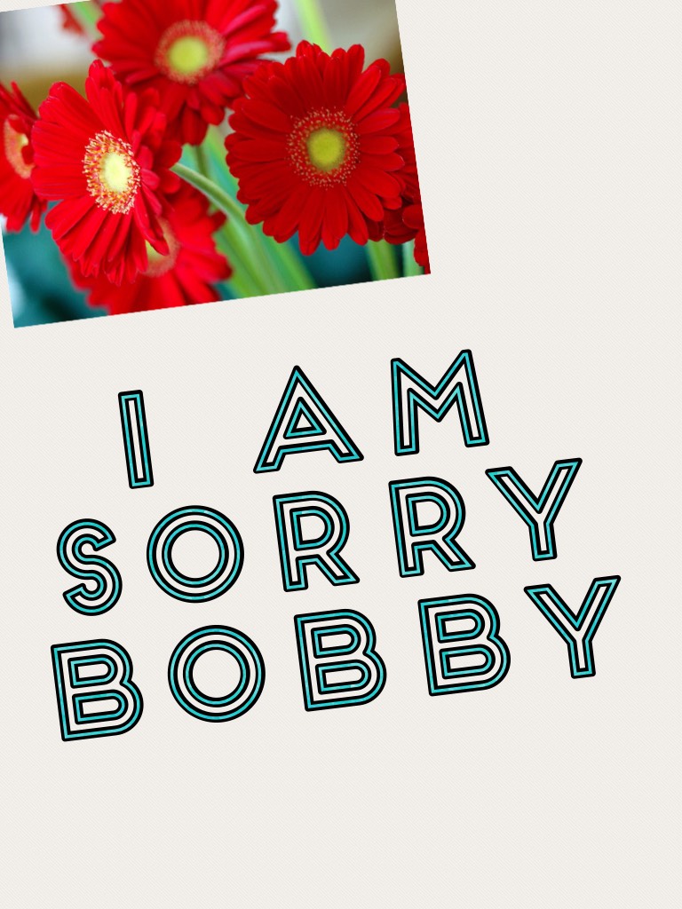 I am sorry bobby