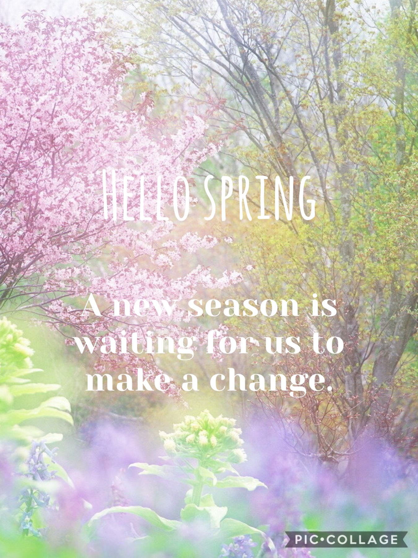 Happy Spring!!