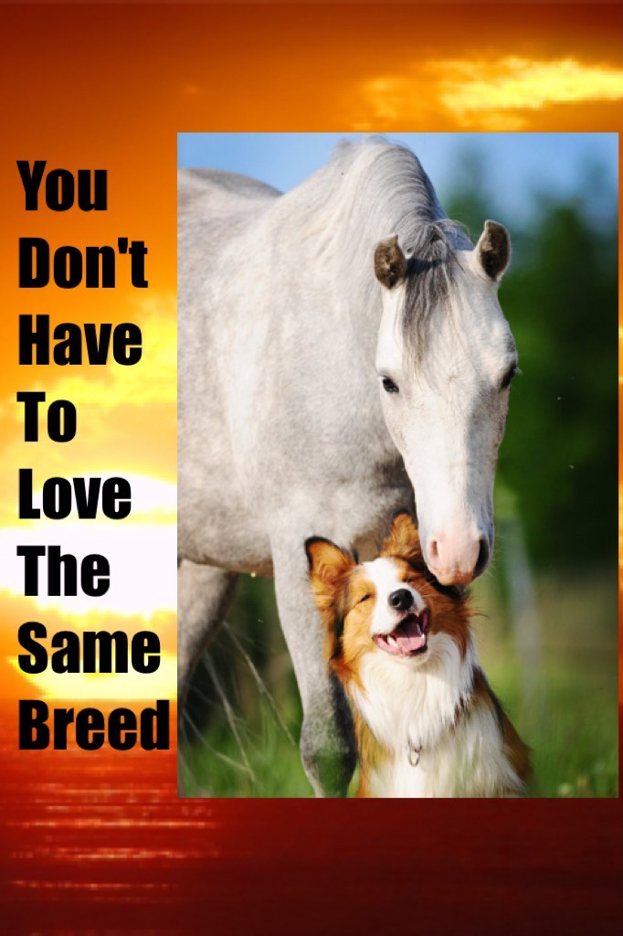You Don't Have To Love The Same Breed