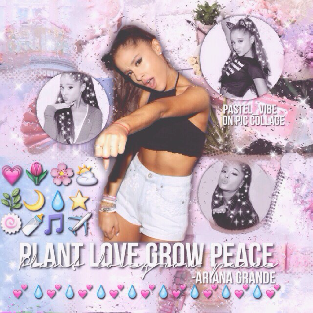 Plant Love grow peace 🌷💐🌸posting more daily:)