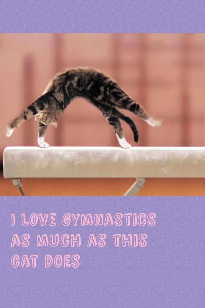 I love gymnastics as much as this cat does