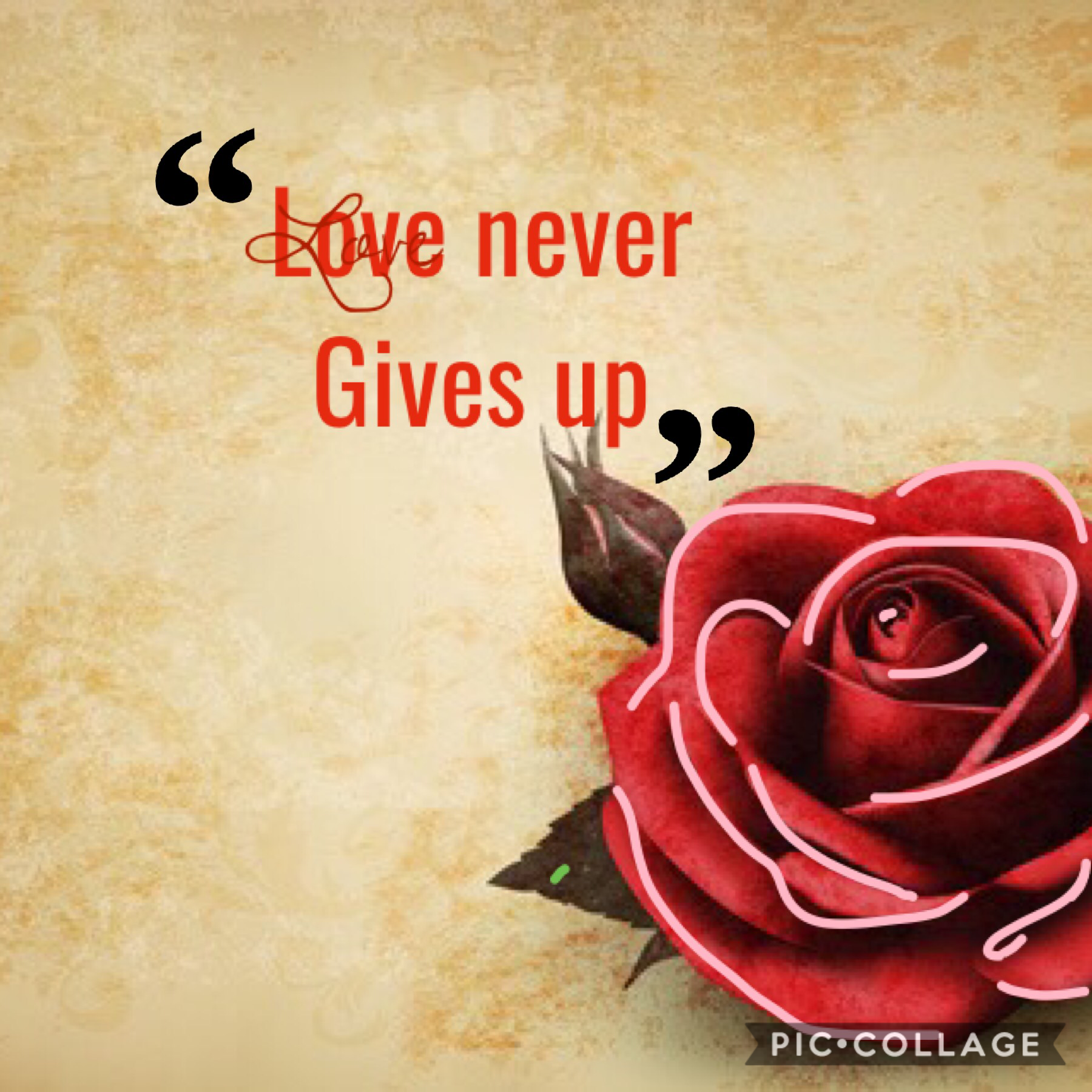 Love Never Gives Up!❤️