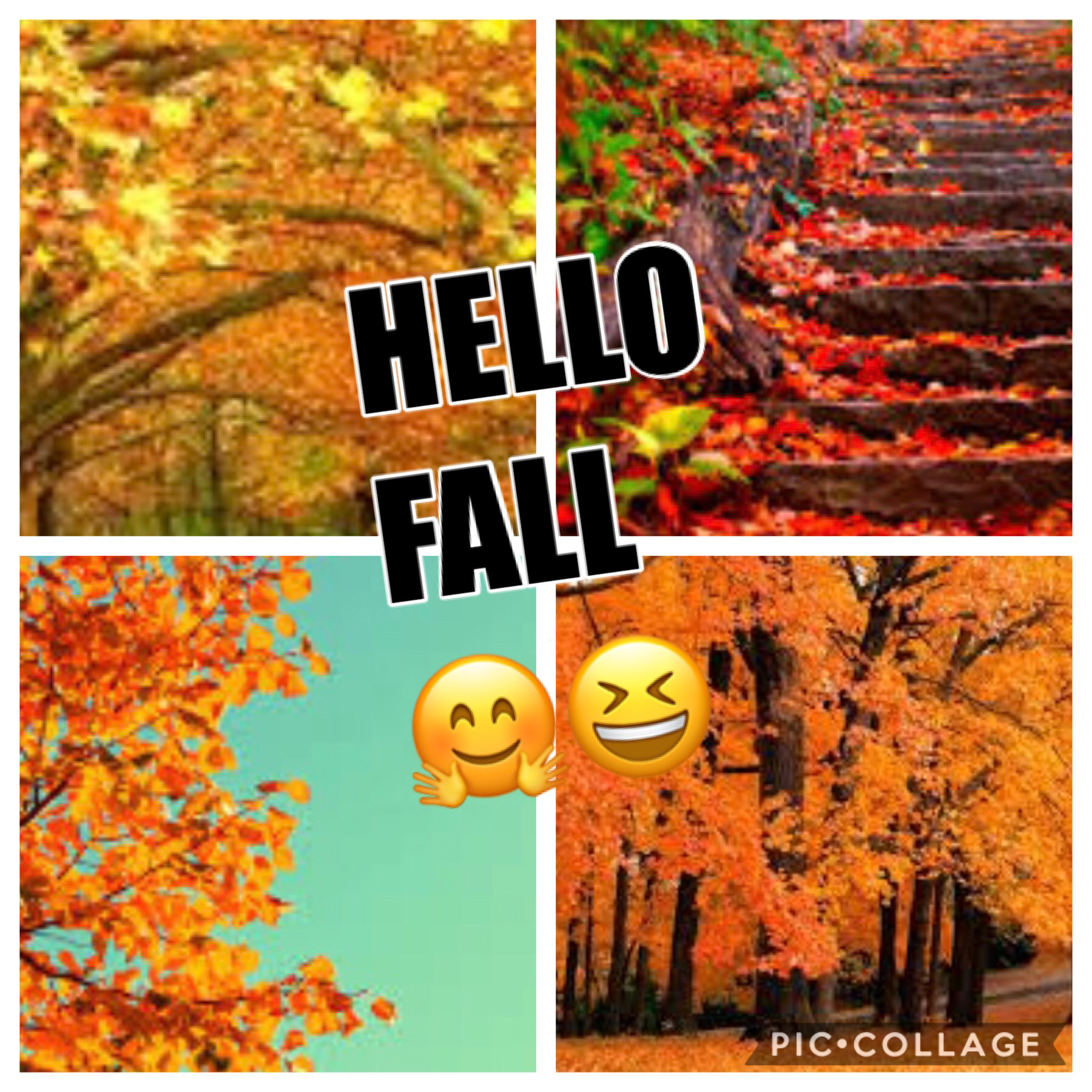 Fall is here!!🥳