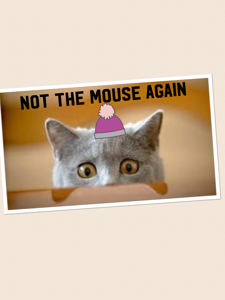 Not the mouse again
