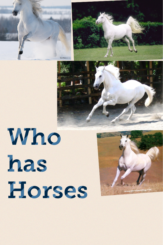 Who has Horses