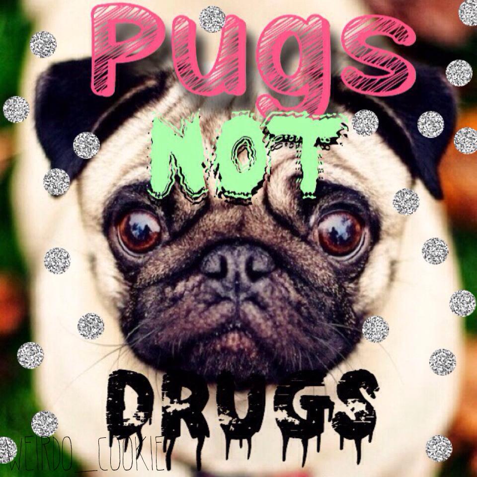 Pugs not drugs👍🏻💩😜