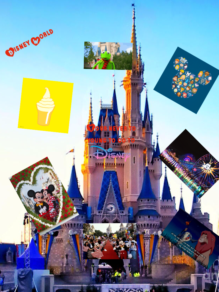 Disney World