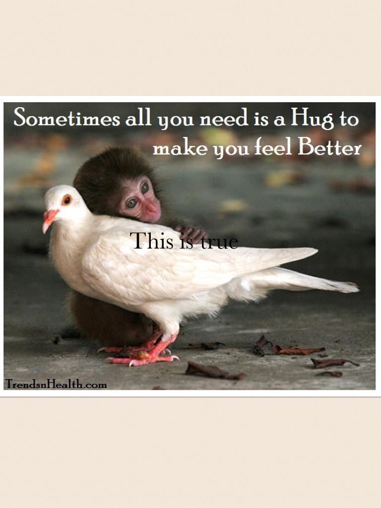 This is true
 Monkey Hugging A pigeon.