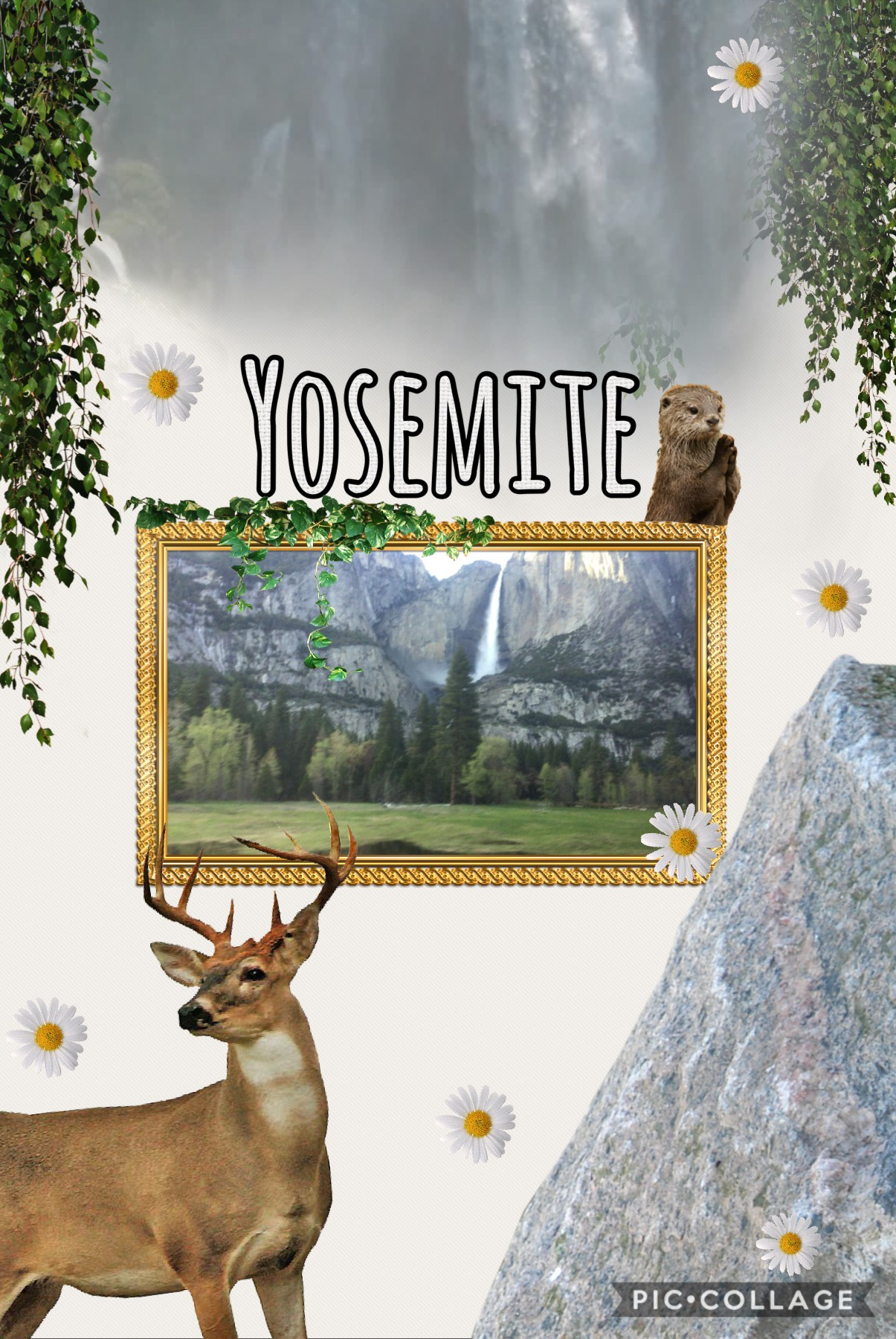 I went to Yosemite National Park last week and it was an amazing experience, nature is so majestic that you get to enjoy every moment you are there. If you ever have the opportunity of going to the park don’t think about going home so you get to enjoy eve