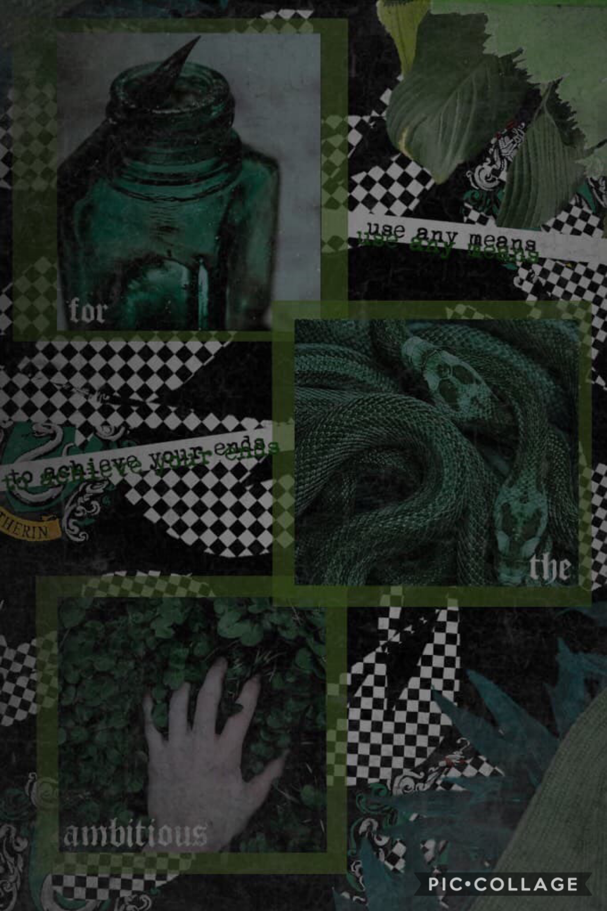 Hola
It’s me, Jordan
And I like Slytherin collages waaaaay too much


A girl told me today that she had a massive crush on me last year and adhsjdhshjs
I’m so fudging oblivious
This is the second time this has happened, too
