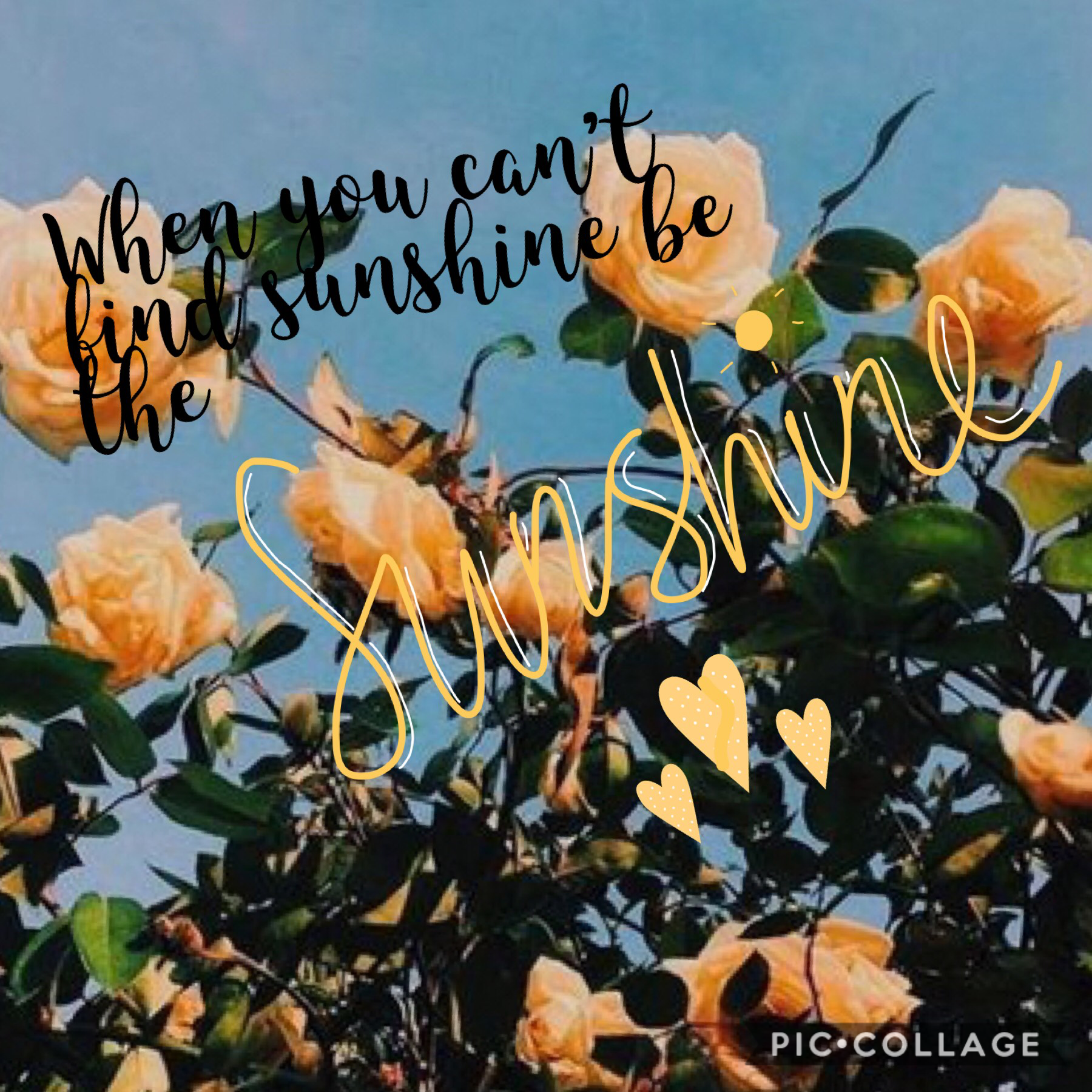 Be the sunshine when you can xx🌵💛