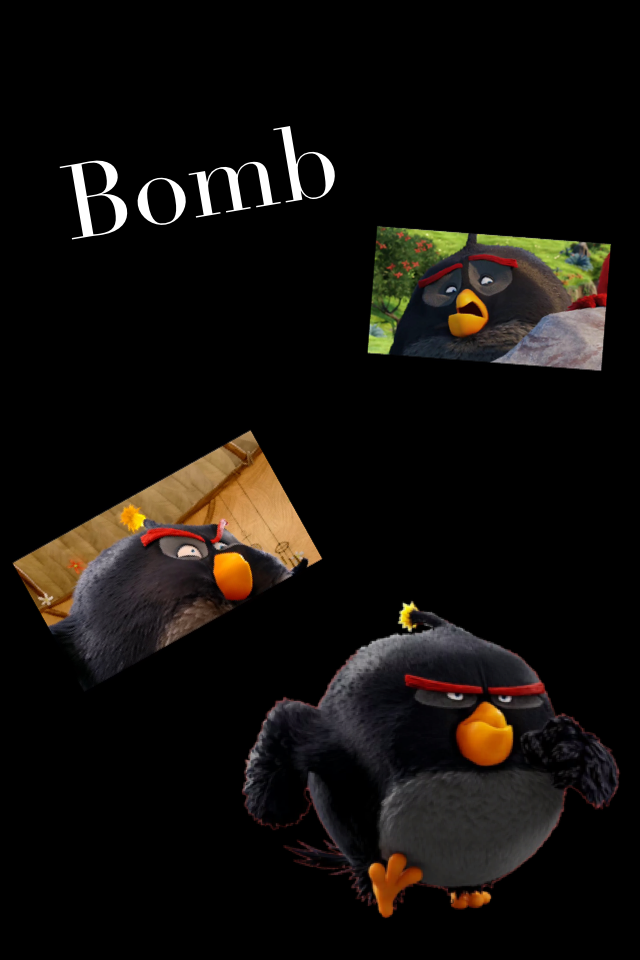 Meet Bomb