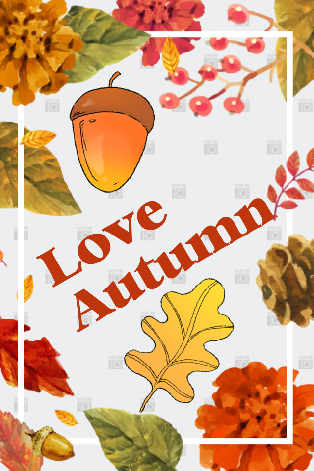 Love Autumn 