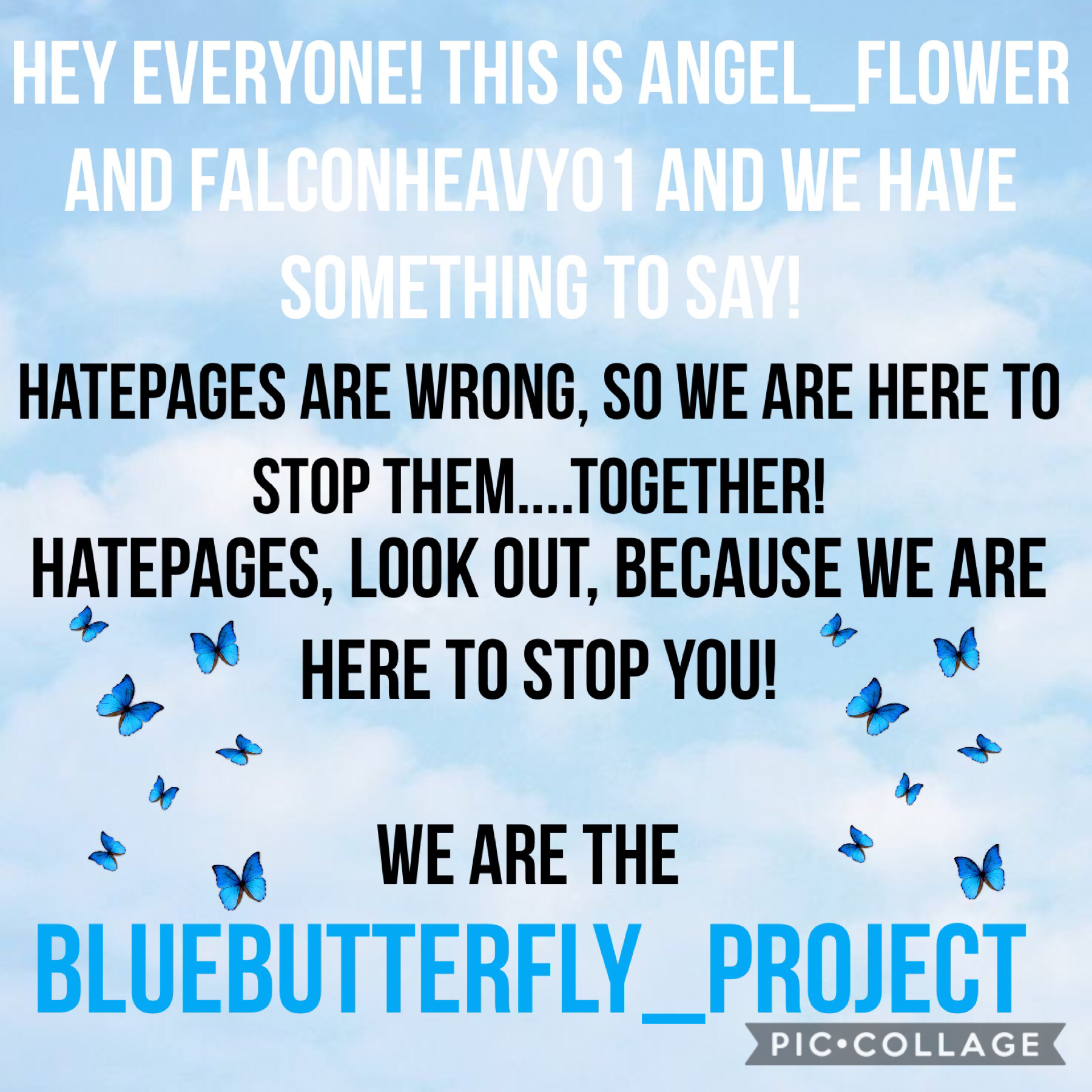 Welcome To The BlueButterfly_Project!