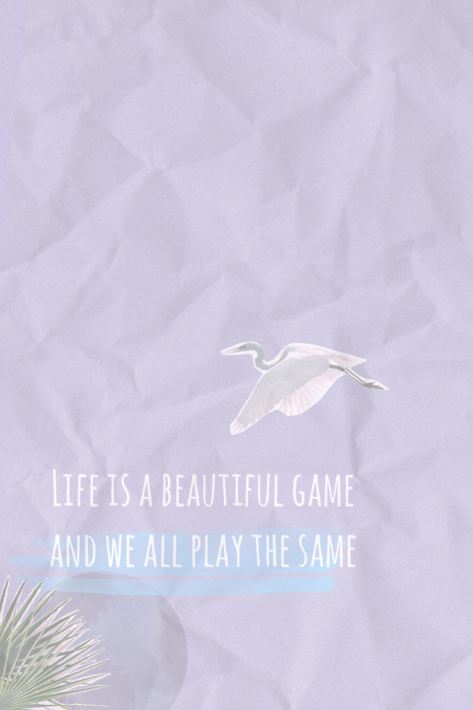 Life is a beautiful game and we all play the same