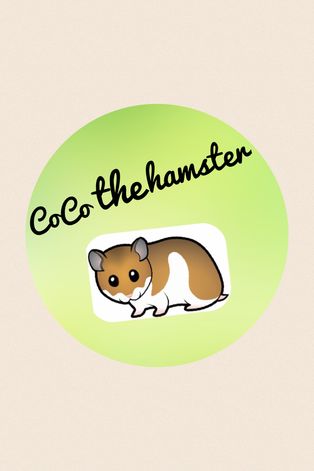 CoCo the hamster