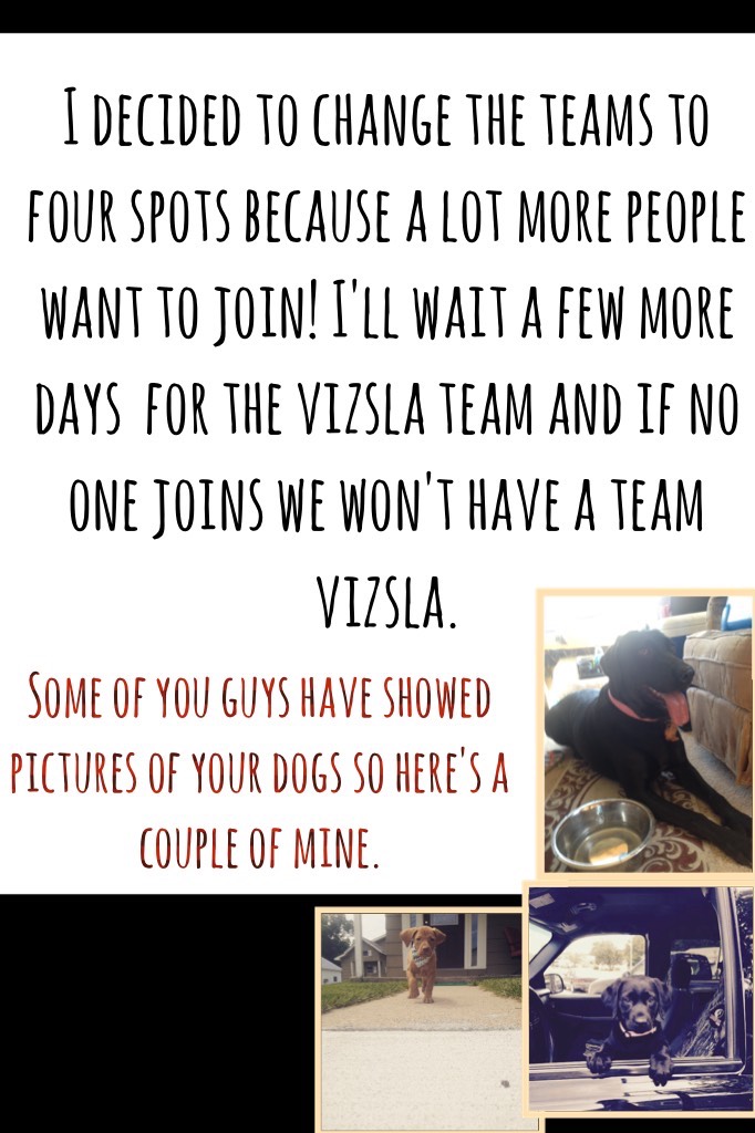 I hope people join team vizsla!