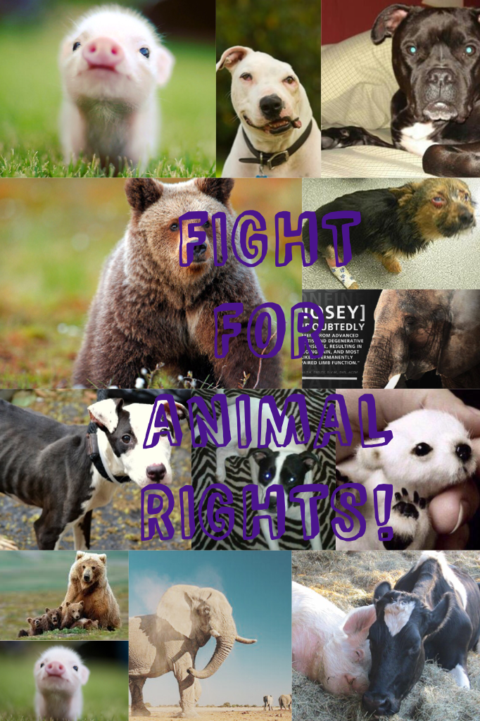 FIGHT FOR ANIMAL RIGHTS!