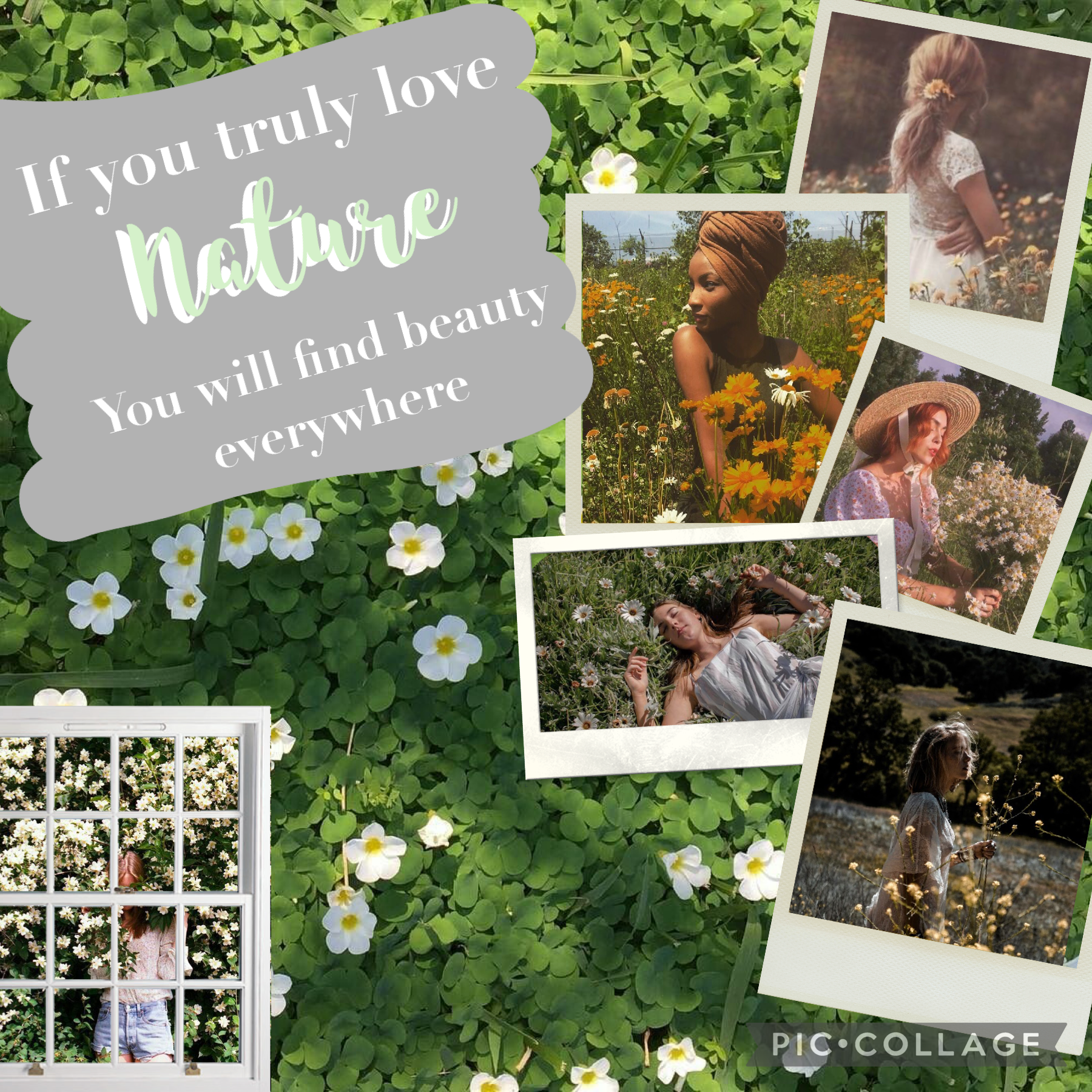 🌱8 March 2021🌱
Collage 5 of the nature series. This is the last collage of the nature series, hope you like it.
Qotd What do I prefer tumblr or aesthetic
Aotd I prefer a lot of aesthetic and a bit of tumblr
Hope ur day is going good Sunnys 