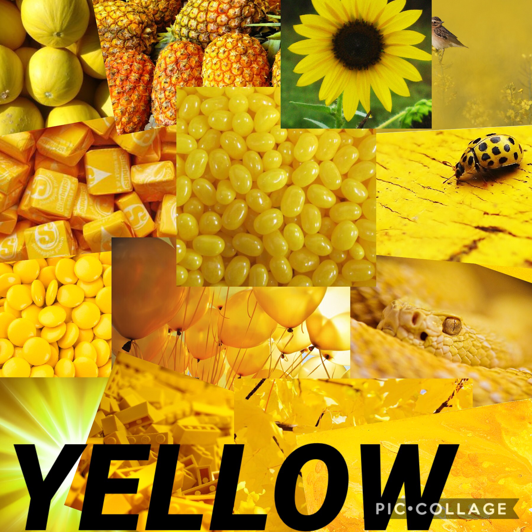 Yellow is my life 