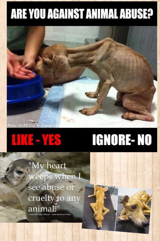 If you hate animal cruelty don't ignore this 