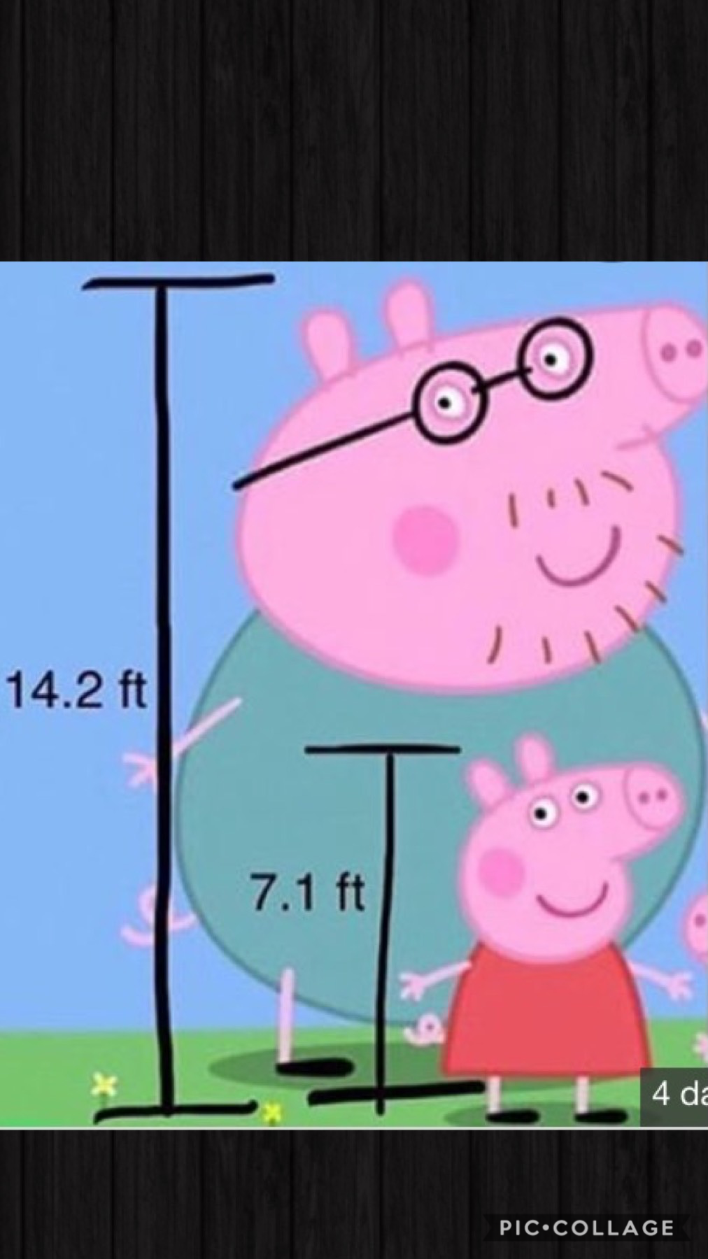 🐷tap🐷


Wow peppa and daddy pig what are you doing being SOO tall