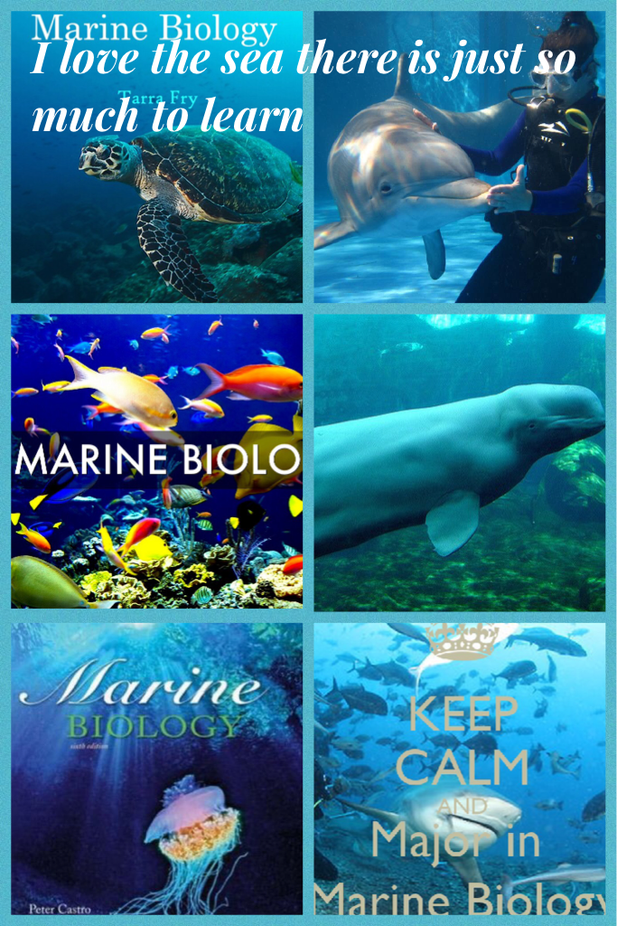 Marine biology is amazing. It so cool learning about the under water sea creatures. Their so different from what we see on land it's just so amazing how many sea creatures there are in the world.🐟🐬🐳🐠