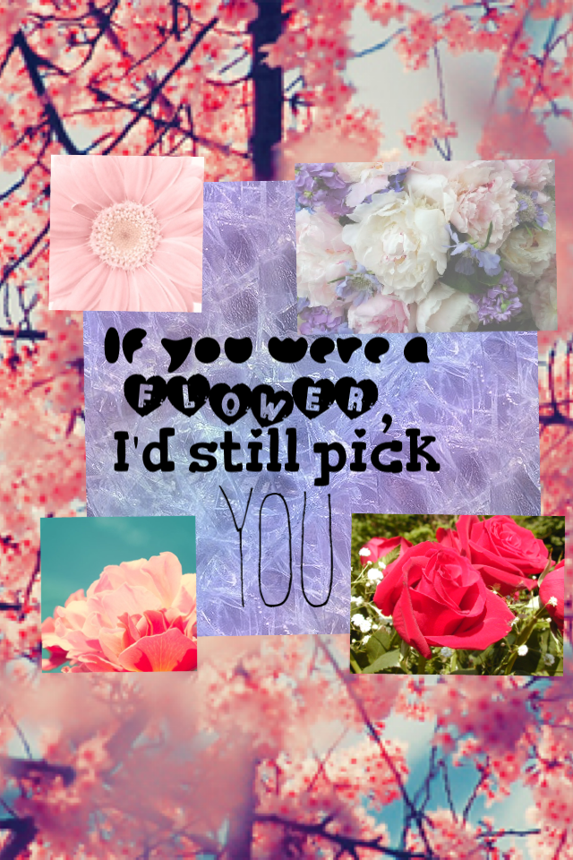 If you were a flower is pick you x #Quotes