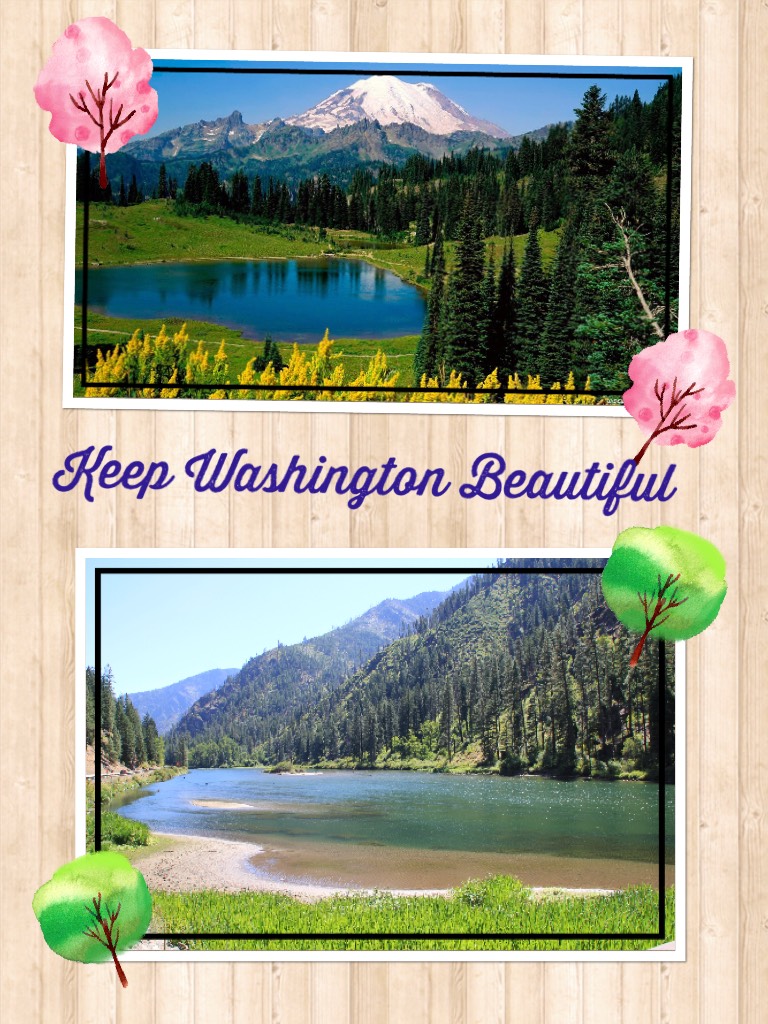 Keep Washington Beautiful!!