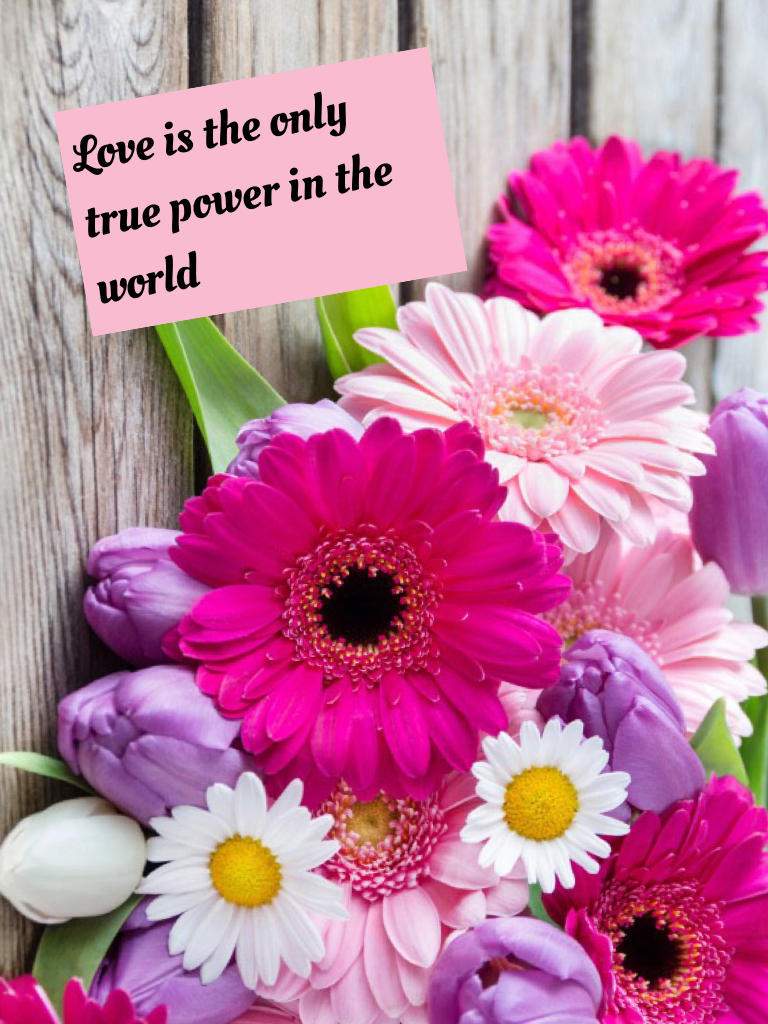 Love is the only true power in the world