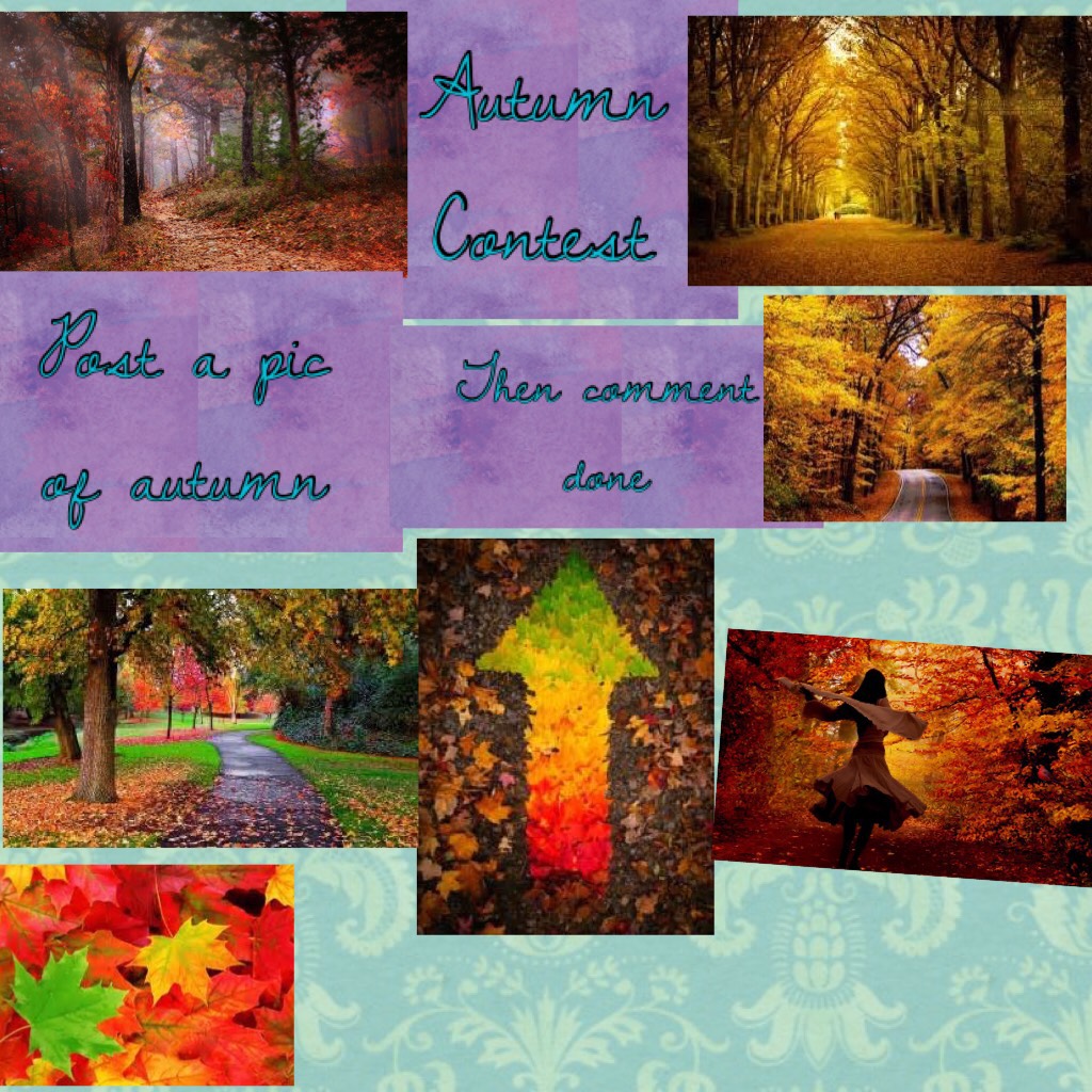 Autumn 
Contest 