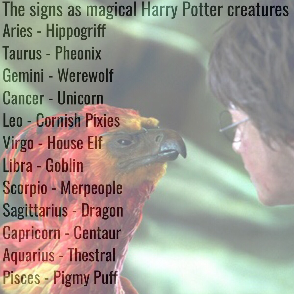 The signs as magical Harry Potter creatures! 
The wait for Fantastic Beasts is almost over! Who's pumped?😄