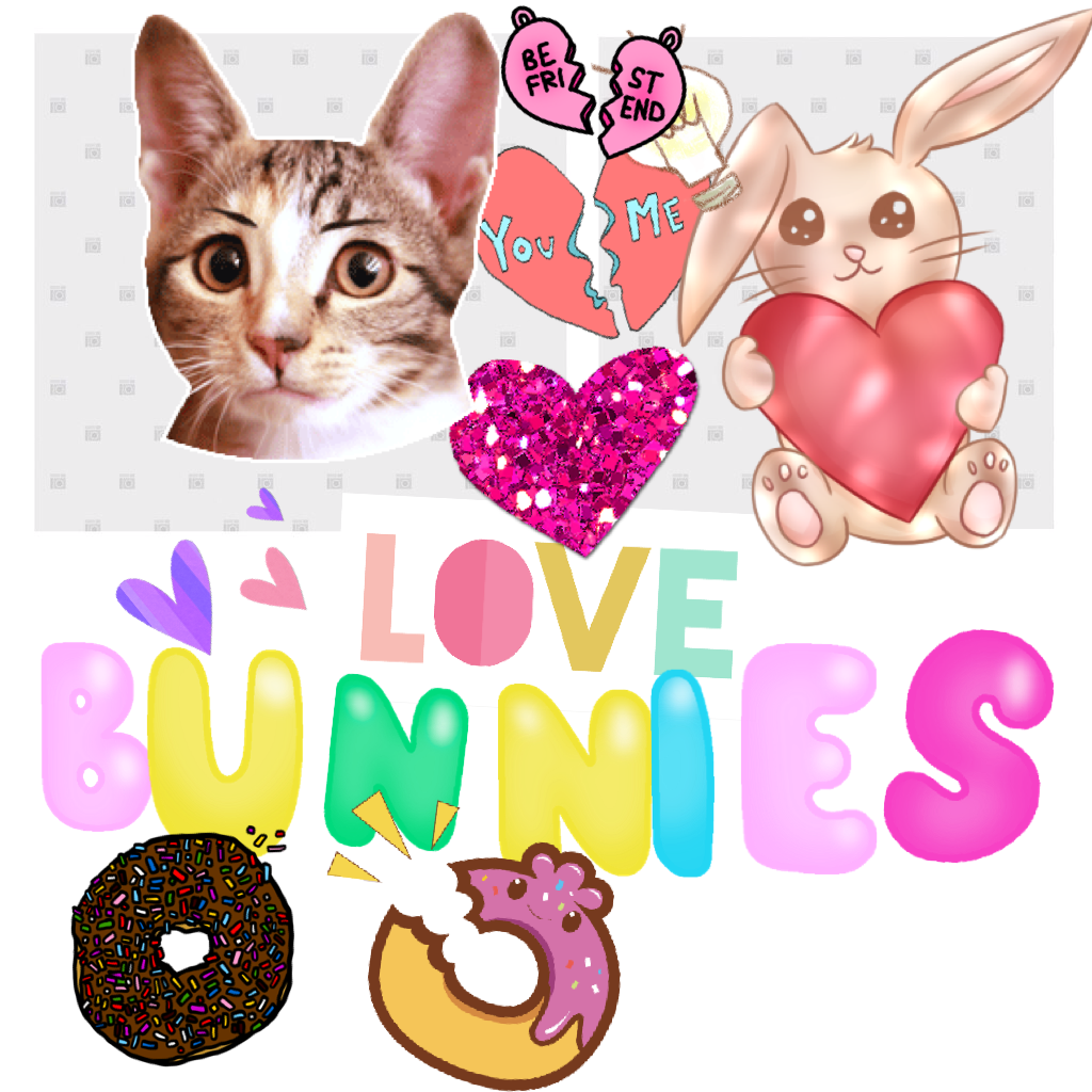 Dounuts are the best but also cats and bunnys and don't  forget friendship is very importint as well ! 🍩🍩🍩🐱🐱🐱🐰🐰🐰❤️💘❤️🗝