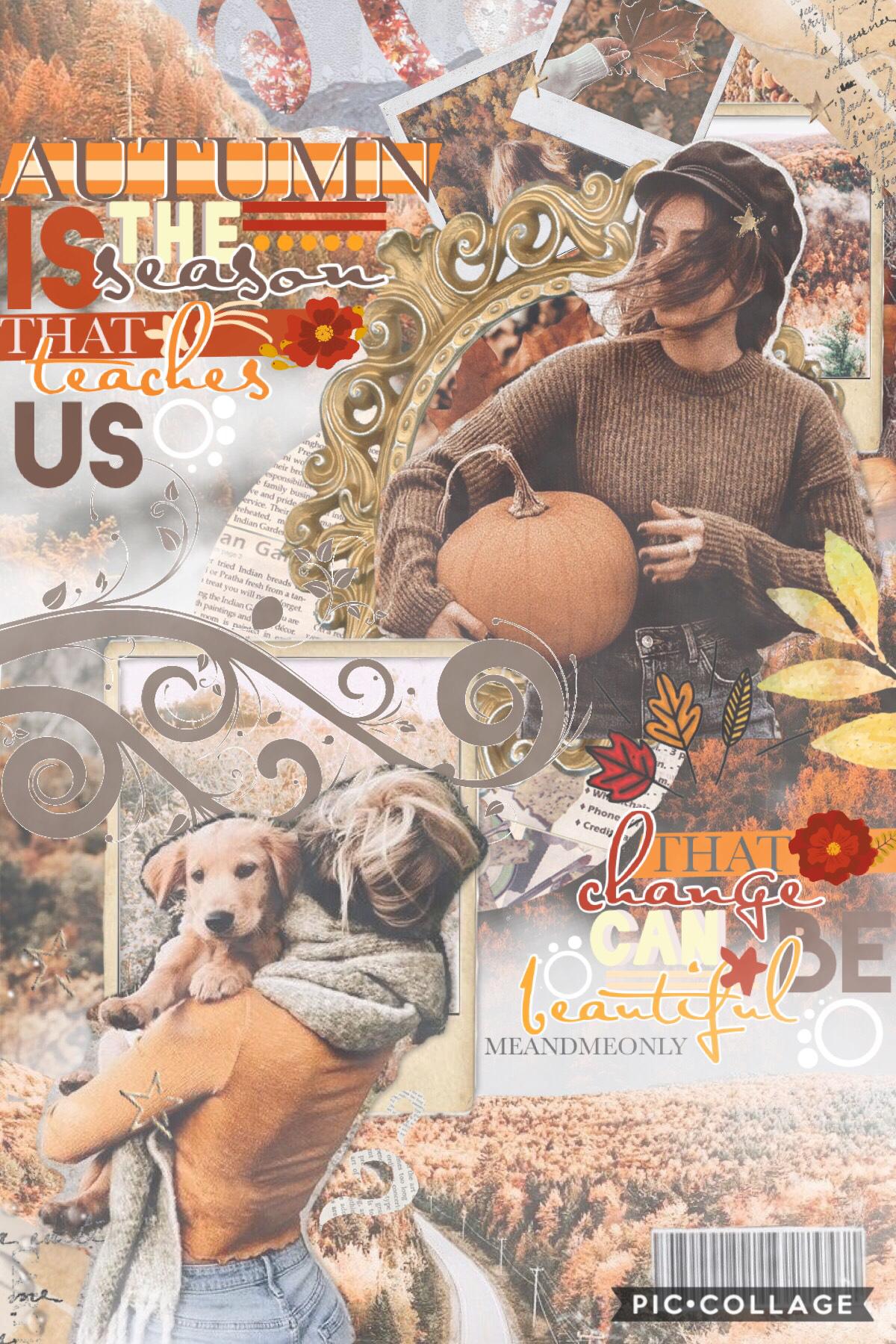 entry to @piccollage’s fall contest🍁🌾 sorry for the inactivity🍊ee spring is here🌸🌻 tell me about the most exciting part of your day? remember you are all such beautiful beings🤩👏