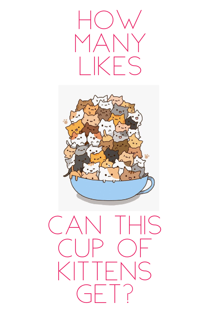 Can this cup of kittens get?