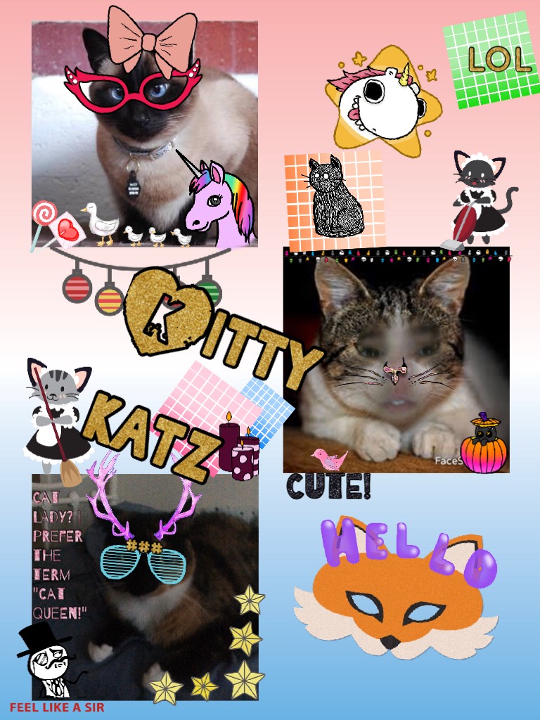 Kitty katz r for eva cute