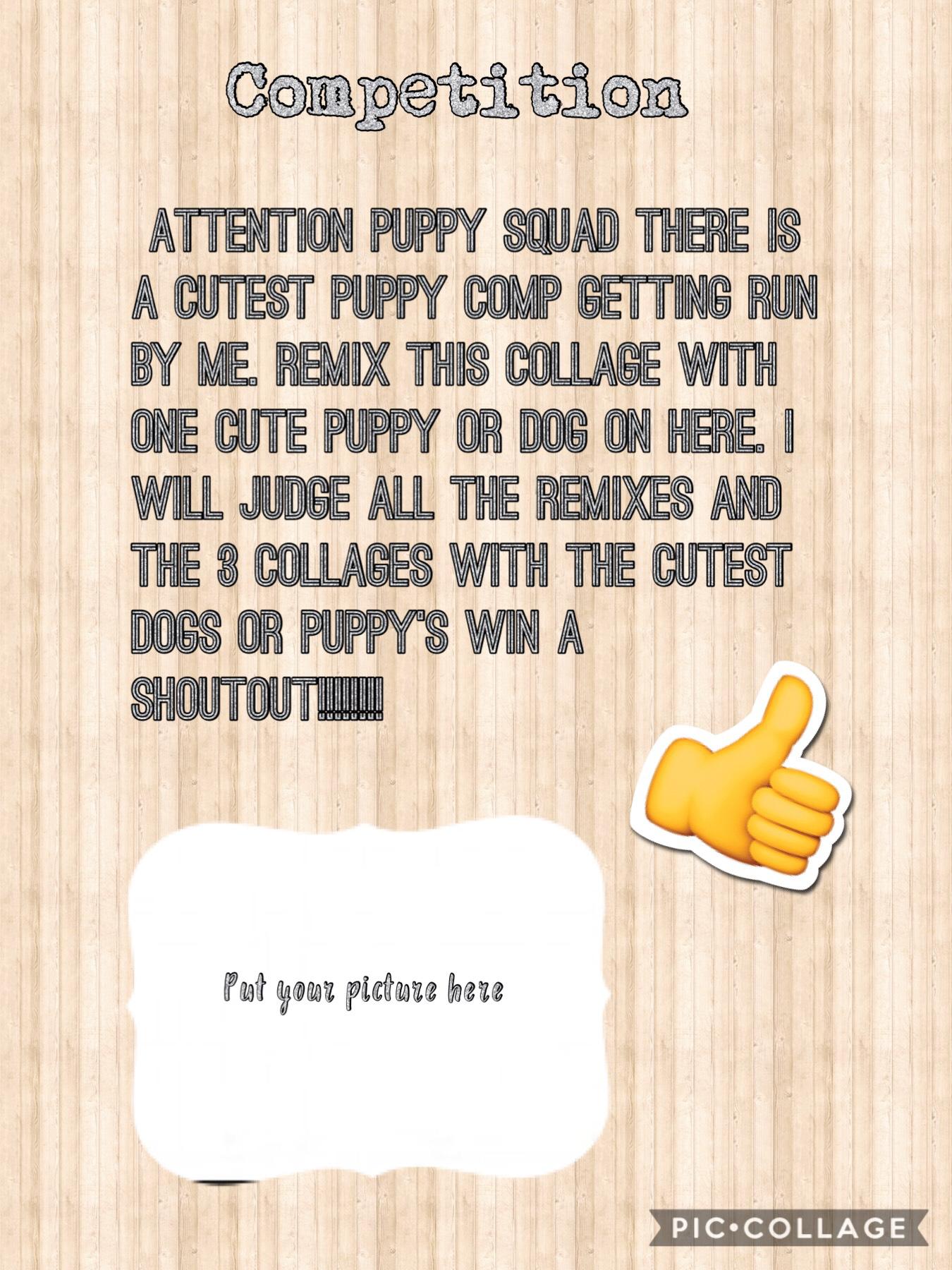 Hey hi, puppy squad here’s another comp for a shoutout!! :)