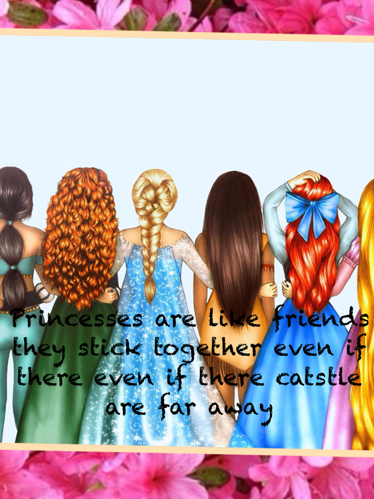 Princesses are like friends they stick together even if there castle is far away-gamer 292